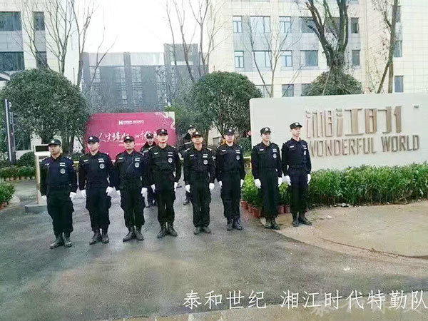 廣東泰和世紀(jì)保安服務(wù)有限公司湖南分公司,廣東常規(guī)人力保安服務(wù),高端人防服務(wù),商務(wù)特保哪里好