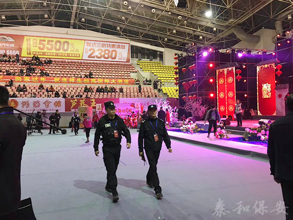 廣東泰和世紀(jì)保安服務(wù)有限公司湖南分公司,廣東常規(guī)人力保安服務(wù),高端人防服務(wù),商務(wù)特保哪里好
