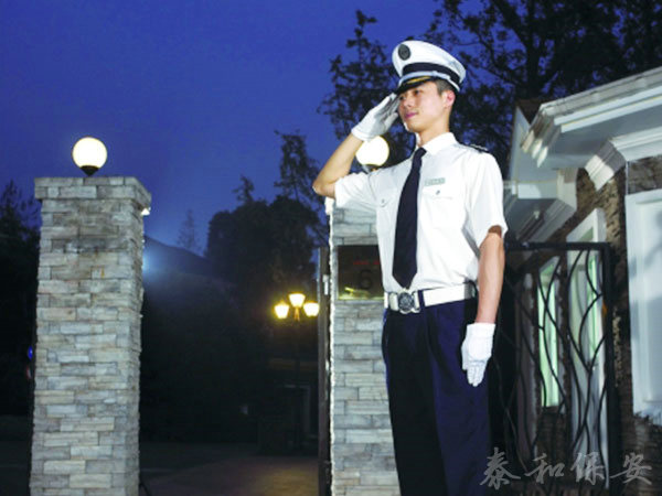 廣東泰和世紀(jì)保安服務(wù)有限公司湖南分公司,廣東常規(guī)人力保安服務(wù),高端人防服務(wù),商務(wù)特保哪里好